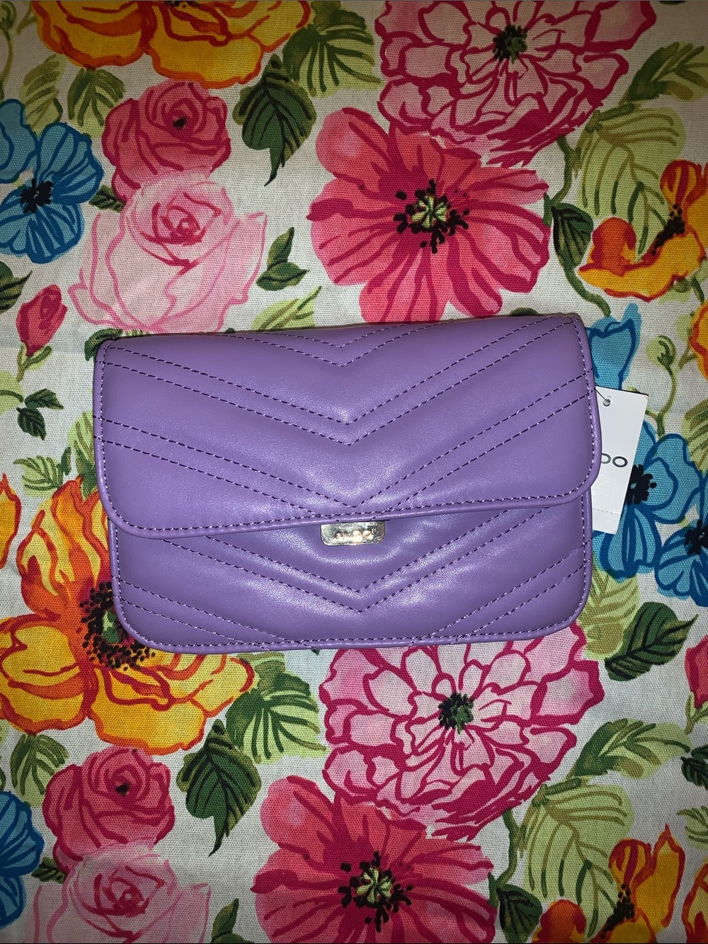 NWT Aldo Clutch & Shoulder Bag